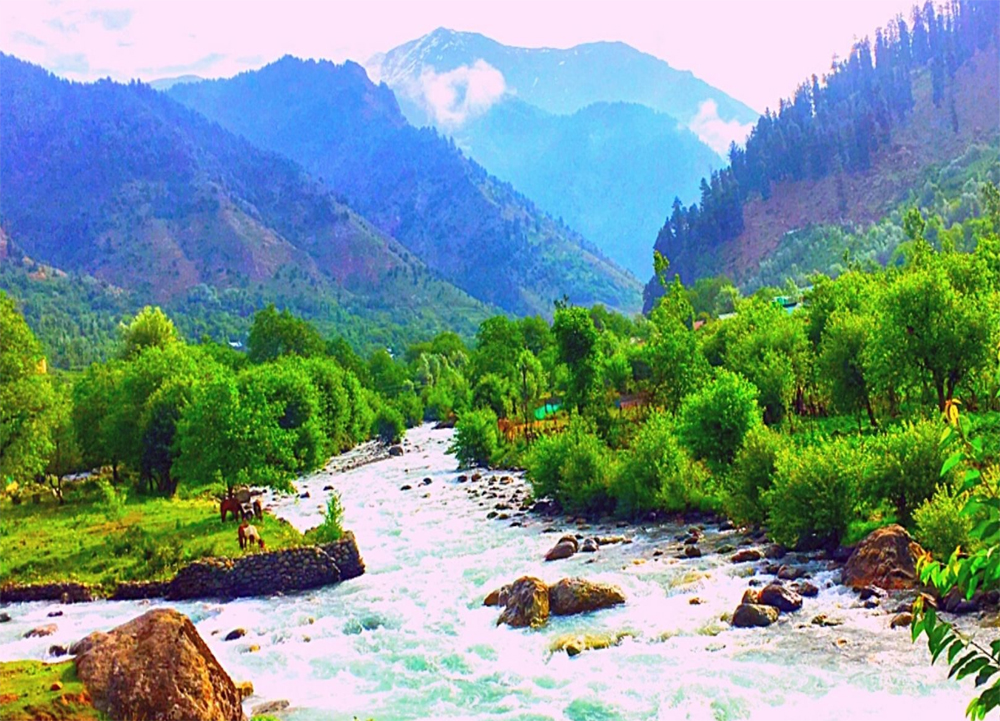 Travel Service in Jammu