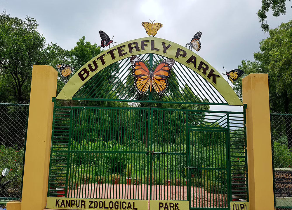 Travel Service in Jammu