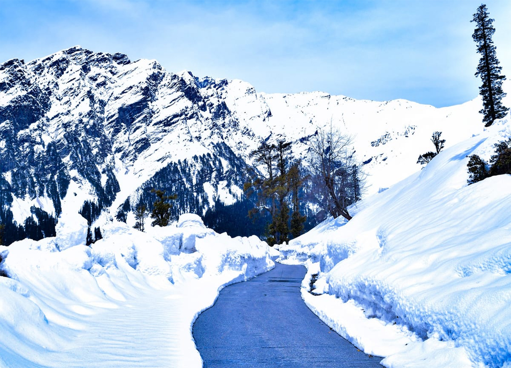 Best Travel Agents in Jammu