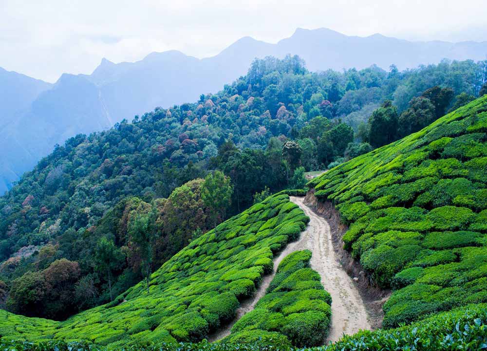 Best Travel Agency in Jammu